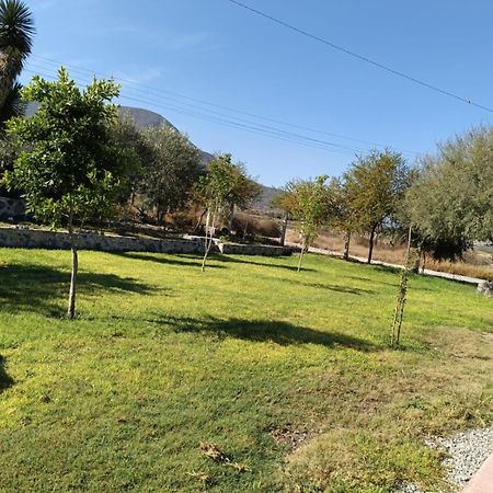 Cabanas Los Olivos Ixmiquilpan Exterior foto