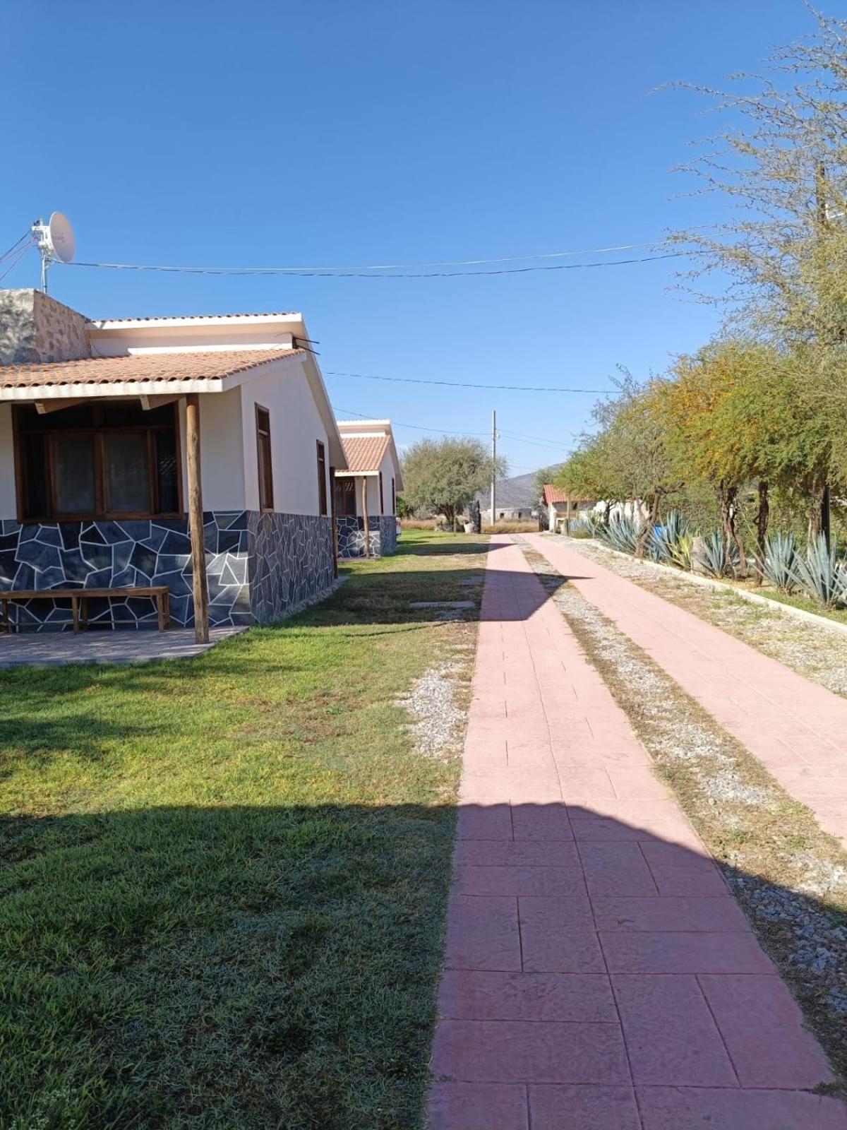 Cabanas Los Olivos Ixmiquilpan Exterior foto