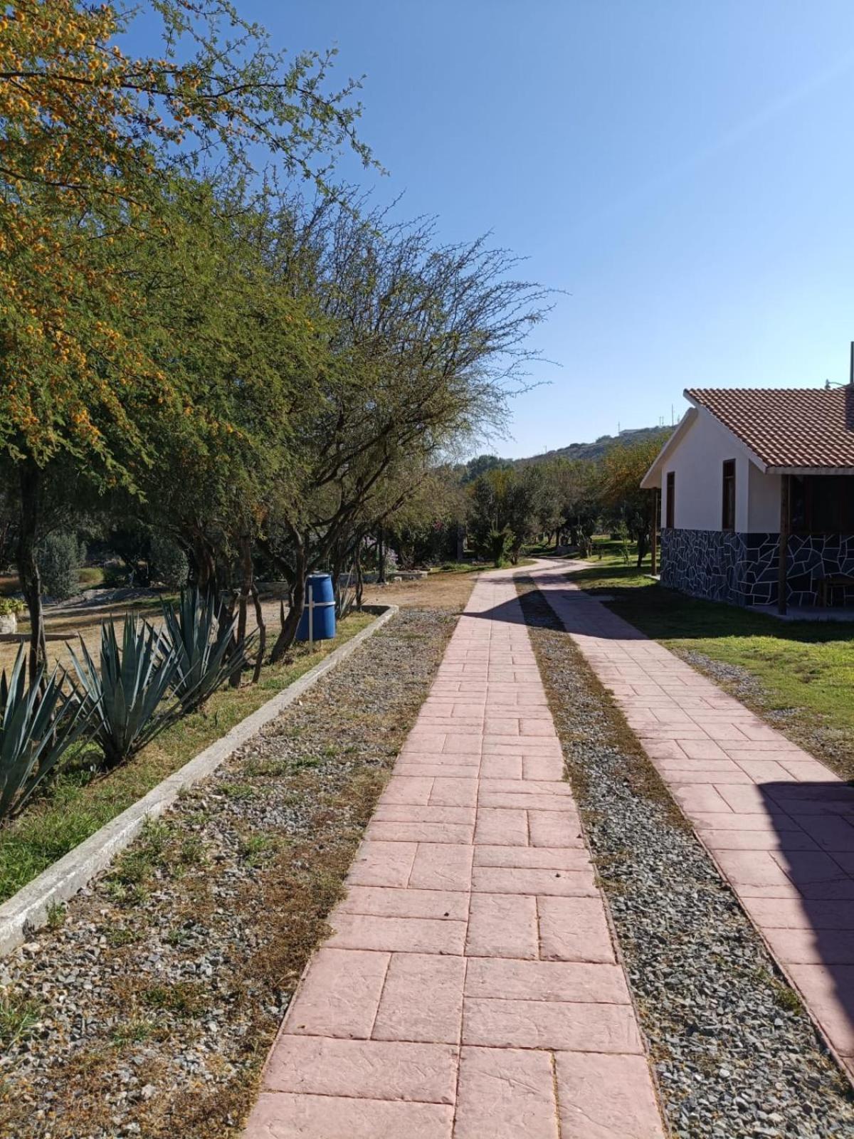 Cabanas Los Olivos Ixmiquilpan Exterior foto